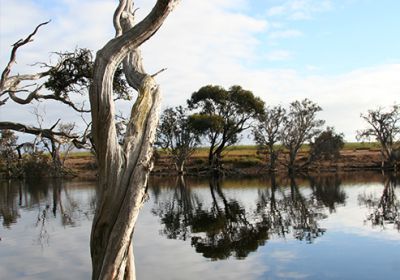 Fitzgerald River National Park